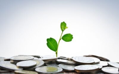 What acquisitions should you make?