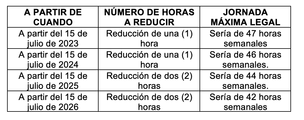 boletin 4 agosto